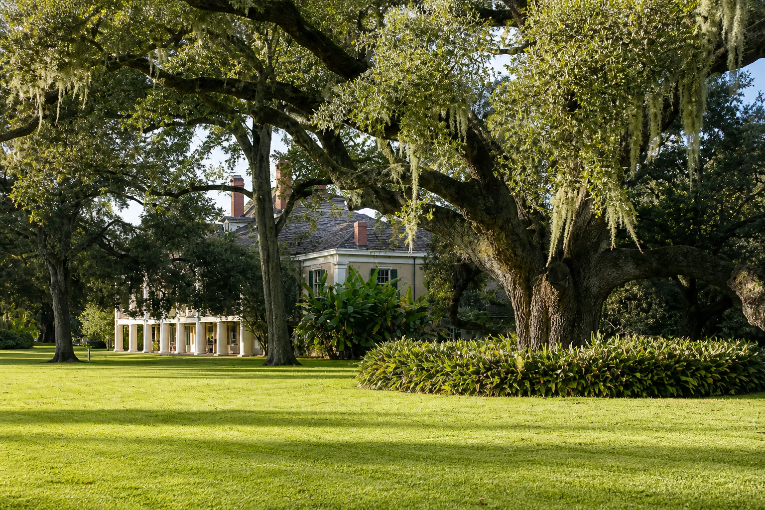 Destrehan Plantation house framed by live oaks